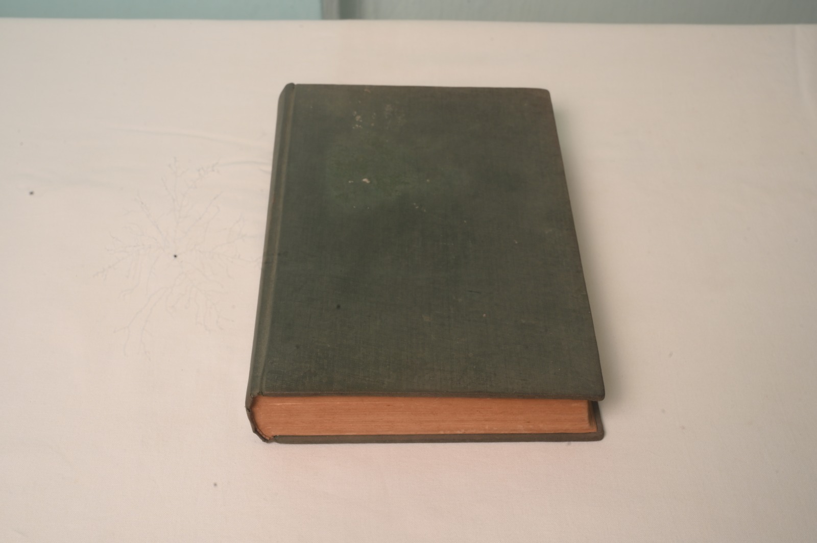 BOOK OF MOTHLY REFLECTION