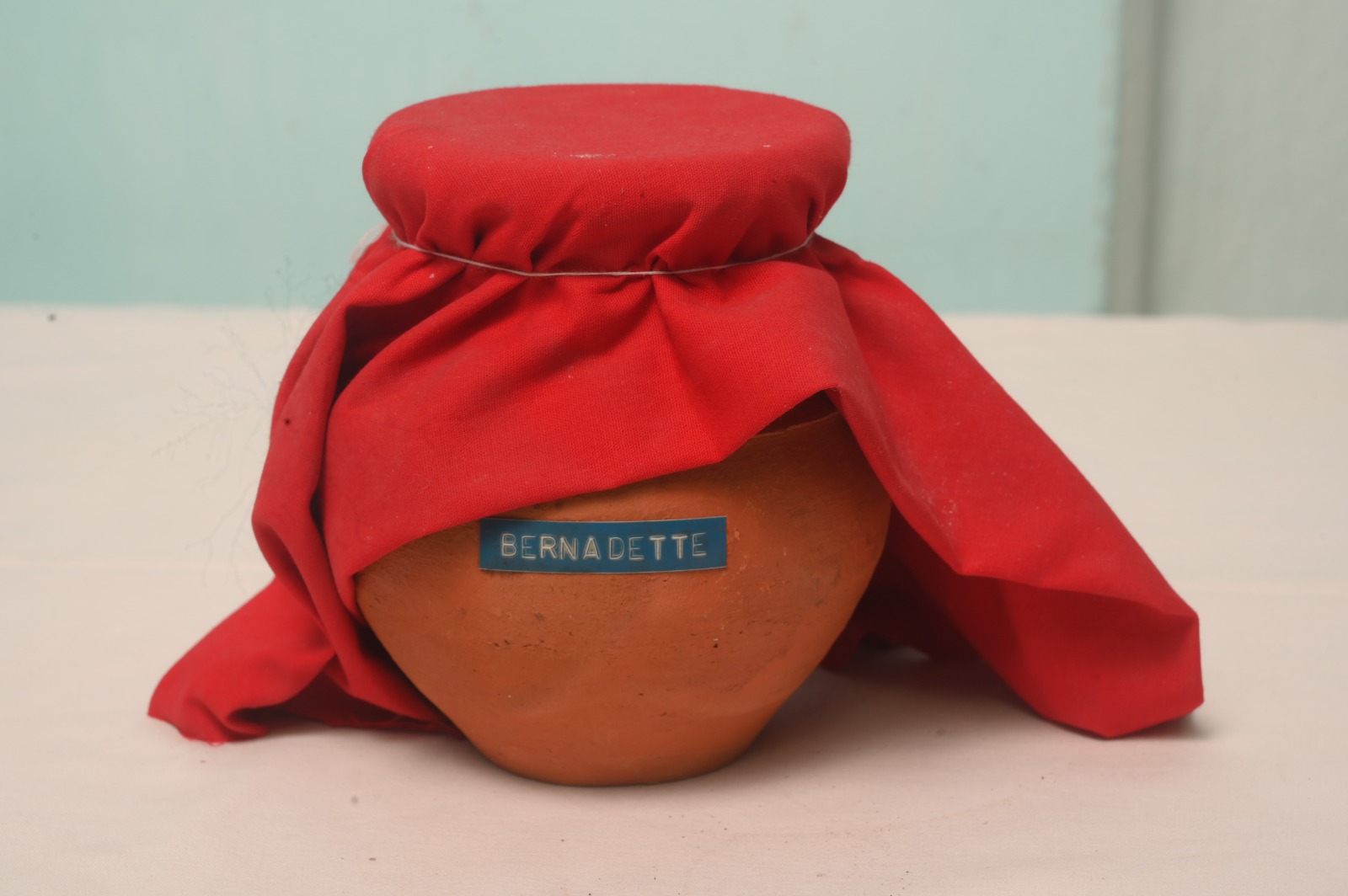 RELICS OF MOTHER BERNADETTE